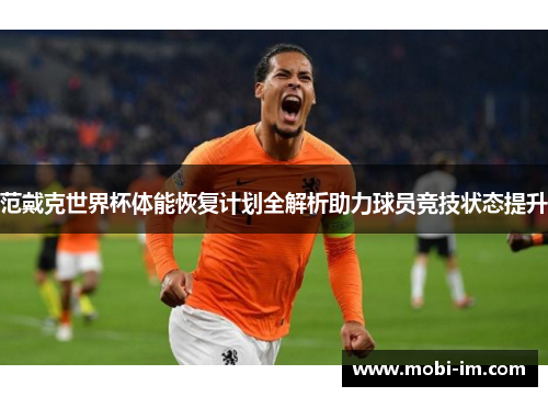 范戴克世界杯体能恢复计划全解析助力球员竞技状态提升