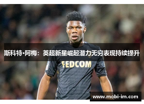 斯科特·阿梅：英超新星崛起潜力无穷表现持续提升