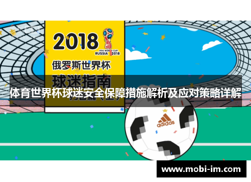 体育世界杯球迷安全保障措施解析及应对策略详解