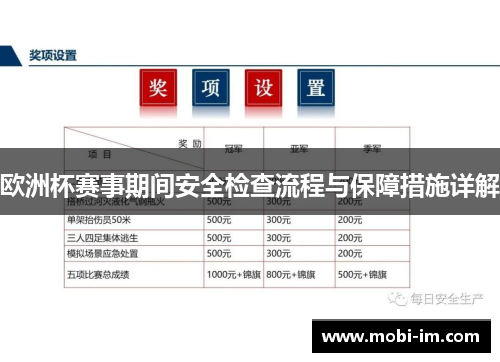 欧洲杯赛事期间安全检查流程与保障措施详解