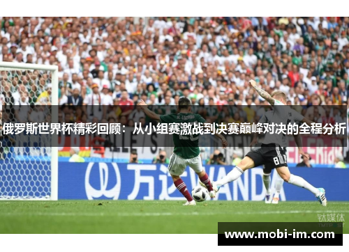 俄罗斯世界杯精彩回顾：从小组赛激战到决赛巅峰对决的全程分析