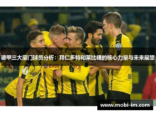 德甲三大豪门球员分析：拜仁多特和莱比锡的核心力量与未来展望