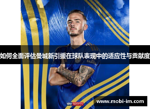如何全面评估曼城新引援在球队表现中的适应性与贡献度