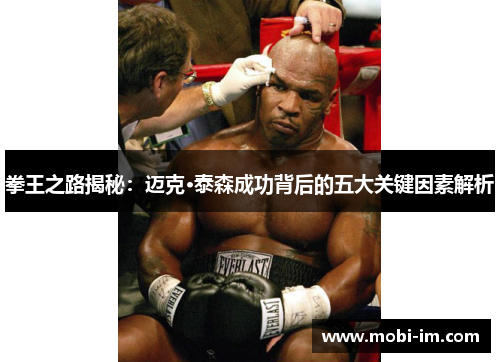 拳王之路揭秘：迈克·泰森成功背后的五大关键因素解析
