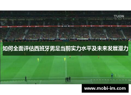 如何全面评估西班牙男足当前实力水平及未来发展潜力
