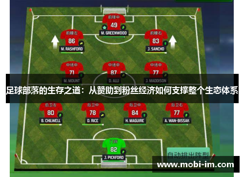 足球部落的生存之道：从赞助到粉丝经济如何支撑整个生态体系