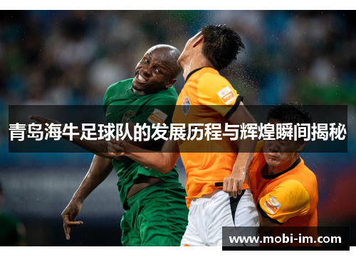 青岛海牛足球队的发展历程与辉煌瞬间揭秘