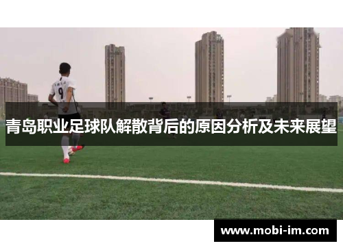青岛职业足球队解散背后的原因分析及未来展望