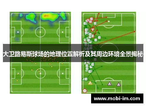 大卫路易斯球场的地理位置解析及其周边环境全景揭秘