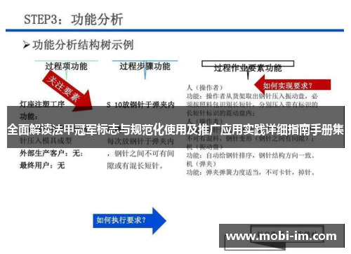 全面解读法甲冠军标志与规范化使用及推广应用实践详细指南手册集