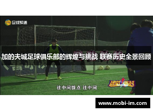 加的夫城足球俱乐部的辉煌与挑战 联赛历史全景回顾