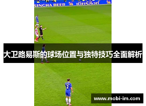 大卫路易斯的球场位置与独特技巧全面解析