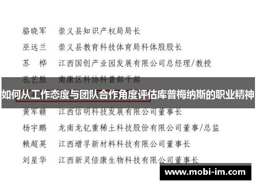 如何从工作态度与团队合作角度评估库普梅纳斯的职业精神