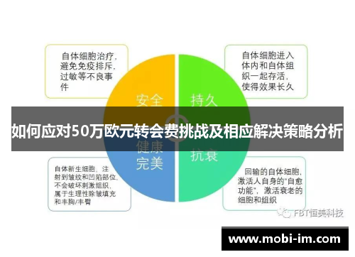 如何应对50万欧元转会费挑战及相应解决策略分析