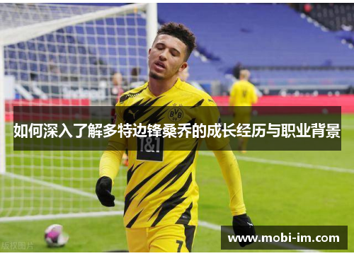 如何深入了解多特边锋桑乔的成长经历与职业背景