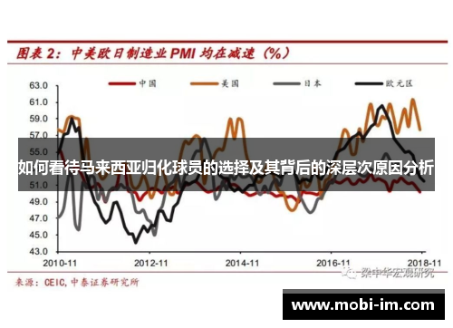 如何看待马来西亚归化球员的选择及其背后的深层次原因分析